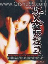 谋杀方程式小说