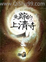失踪的上清寺小说
