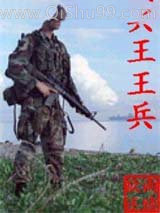 兵王王兵小说