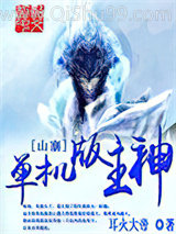 单机版山寨主神小说