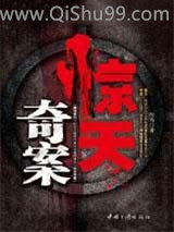 惊天奇案小说