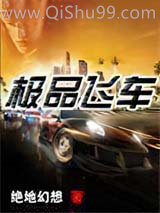 极品飞车小说