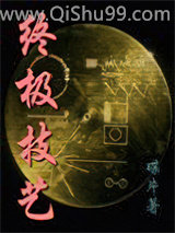 终极技艺小说
