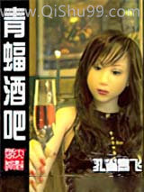 青蝠酒吧小说