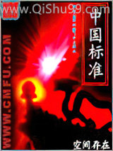 中国标准小说