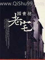 园青坊老宅小说