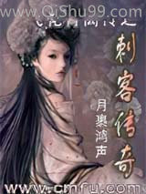 飞花青离传之刺客传奇小说