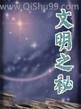 文明之秘小说