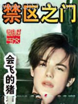 禁区之门小说