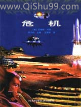 危机小说