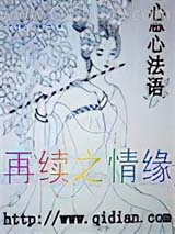 再续之情缘小说