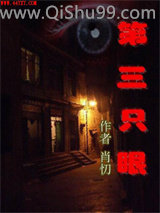 第三只眼小说