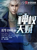 神权天赋小说