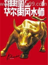 华尔街风水师小说