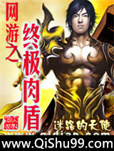 网游之终极肉盾小说