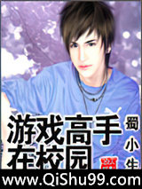 游戏高手在校园小说