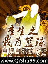 重生之我为篮球小说