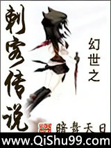 幻世之刺客传说小说