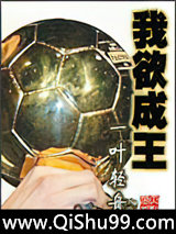 我欲成王小说