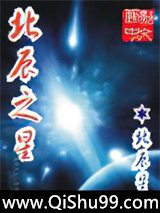 北辰之星小说