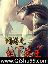网游之地下城主小说
