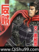 反贼小说