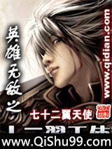 英雄无敌之十二翼天使小说