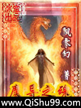 魔导之魂小说