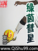 绿茵彗星小说