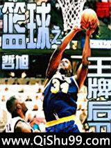 篮球之王牌后卫小说