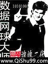 数据网球大师小说