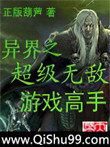 异界之游戏高手小说