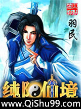 纯阳仙境小说