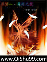 网游——英雄无敌小说