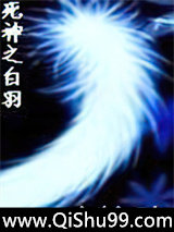 死神之白羽小说