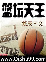 篮坛天王小说