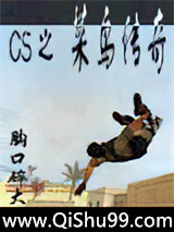 CS之菜鸟传奇小说