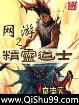 网游之精灵道士小说