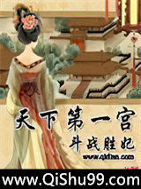 天下第一宫小说