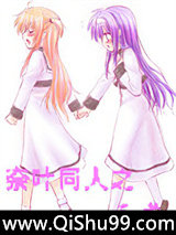 奈叶同人之天道小说