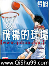 飞扬的球场小说
