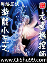 游戏小工之元素操控师小说