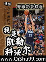 我是凯勒科沃尔小说