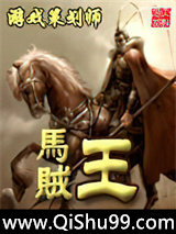 马贼王小说