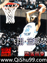 心·飞翔·篮球梦小说