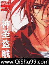 神圣盗贼小说