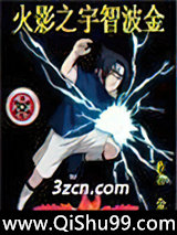 火影宇智波金小说