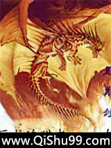 巨龙追猎者小说