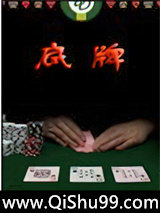底牌小说