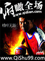 俯瞰全场小说